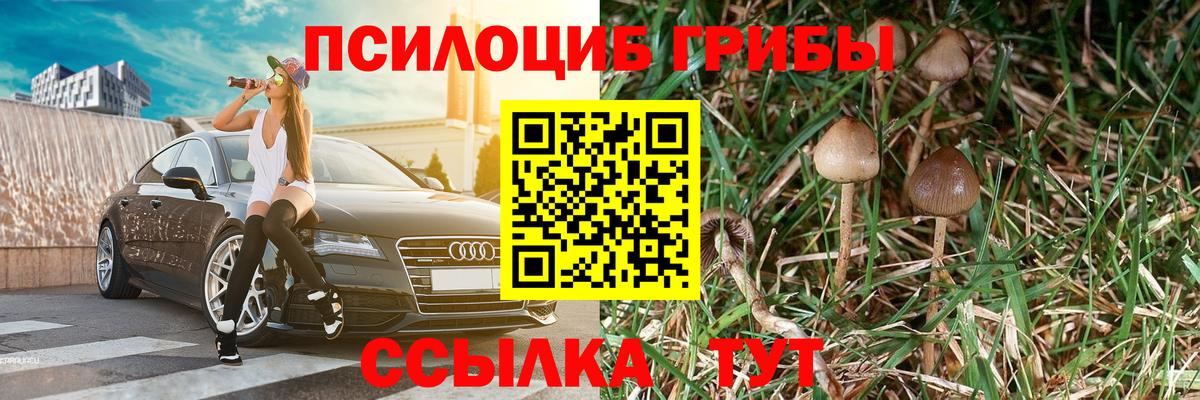 Псилоцибиновые грибы Cubensis  Галлюциногенные грибы мухоморы  Вход с VPN  Грозный 