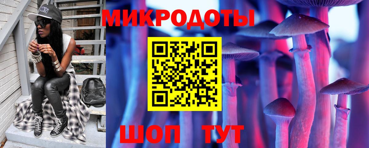 Галлюциногенные грибы Cubensis Грозный