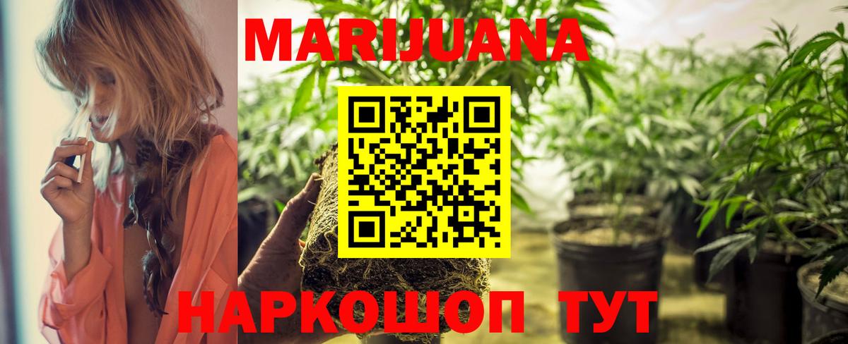 Грозный  Бошки Шишки OG Kush  Конопля сатива  Вход с VPN  Конопля LSD WEED 